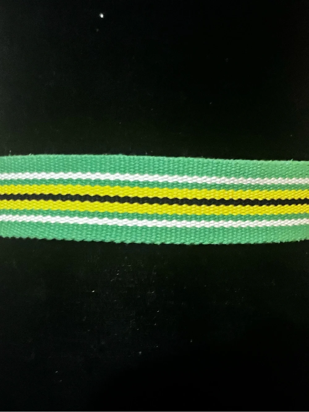 Roca Wear Women's Belt S/M (32”)